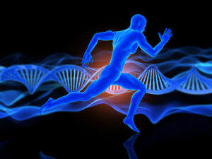 genetic fitness